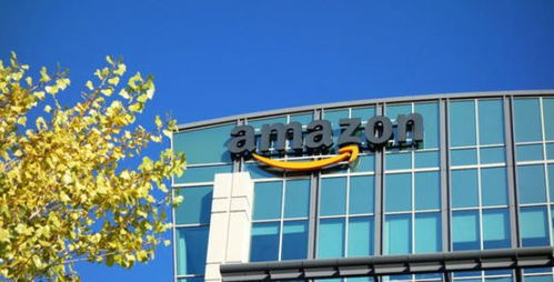 亞馬遜轉(zhuǎn)化率低怎么辦？江西中小企業(yè)網(wǎng)站建設(shè)與提升轉(zhuǎn)化率的實(shí)用技巧