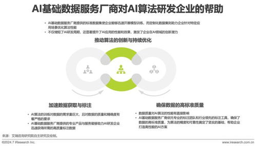 2024年中國AI基礎數據服務研究報告 互聯網安全服務